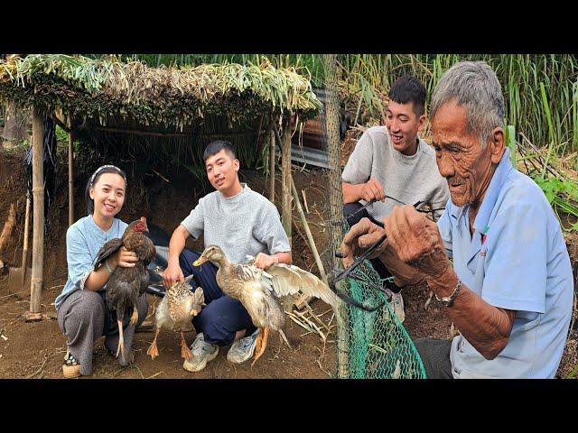 Creating a Big Livestock Garden: Can Tuấn Win Grandpa's Affection?