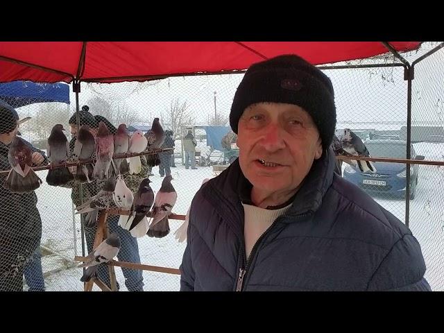 Часть 1 Ярмарка голубей и декоративных птиц Харьков 02.02.2019