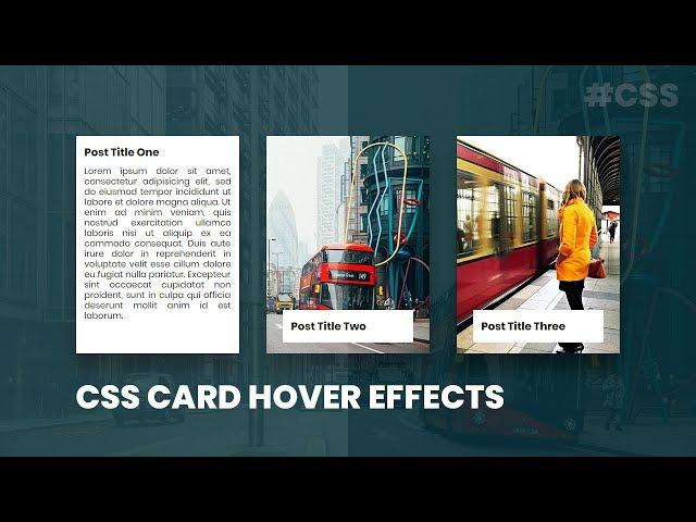 CSS Card Hover Effects | Html CSS