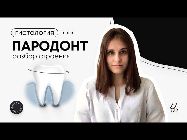 Гистология | Пародонт