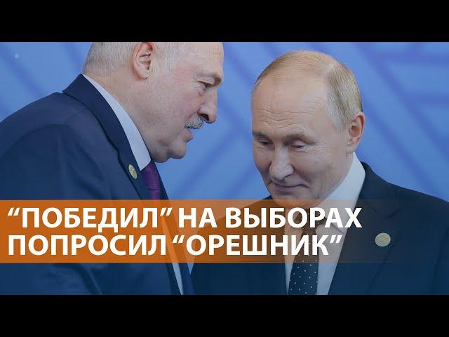 Выборы в Беларуси: ЕС не признает, Лукашенко "фиолетово". Бои за Великую Новоселку. НОВОСТИ