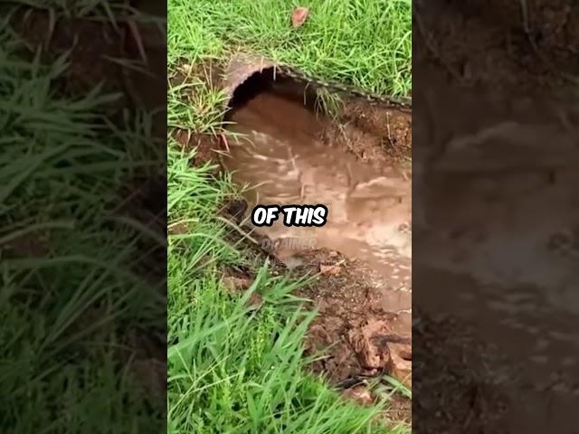 Massive blockage bursting out of this drain pipe when opened!