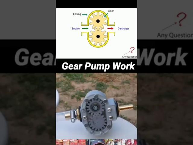 Gear Pump Functionality Explained (With Animations!) #shorts