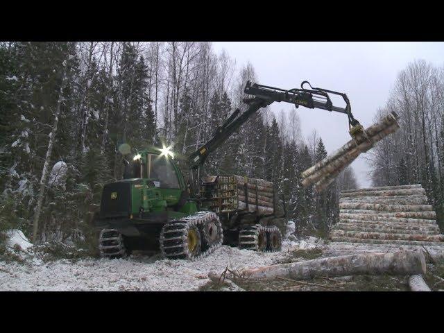 Лес: предприятие «Вожега-Лес»