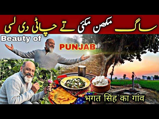 Bhagat Singh ki zameen ka saag | life of village/saag makki ki roti | iftikhar Ahmed Usmani