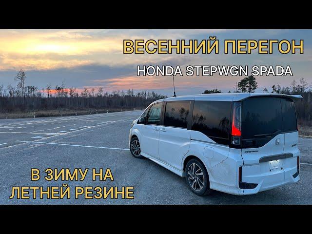 Апрельский перегон HONDA STEPWGN SPADA