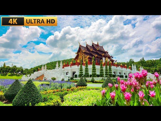 Royal Park Rajapruek  | Chiang Mai Thailand | [4K 60 FPS HDR]