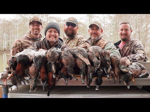 2 Hours of INCREDIBLE Limits and Louisiana Duck Hunts to Fall Asleep To