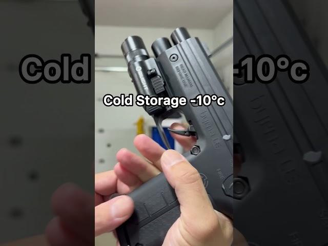 LL4D - Byrna LE | Cold Neglected Storage Test