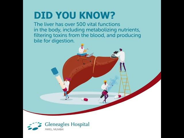 Why Liver is irreplaceable?: It does over 500 jobs that keep you healthy | Gleneagles Hospital