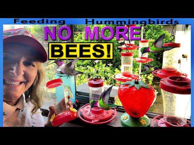 KEEPING Bees Off Hummingbird Feeder  BE AWARE of Bee Proof Issues Before YOU Buy  EASY to Clean