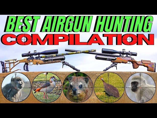 THE BEST AIR GUN HUNTING COMPILATION EVER I CENTRE FIRE AND AIRGUN HUNTING 2021