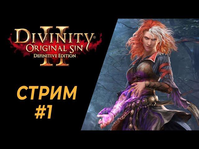 Тактический хардкор | #1 | Divinity: Original Sin 2