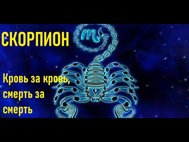 Скорпион - характеристика знака зодиака. Школа астрологии Virgo