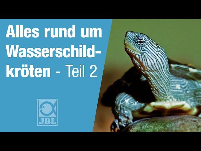 JBL TV #61 Artgerechte Haltung von Wasserschildkröten Teil 2 - Ernährung und Pflege