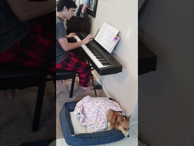 Serenading Oliver feat. Nick Merry Go Round of Life from Howl's Moving Castle