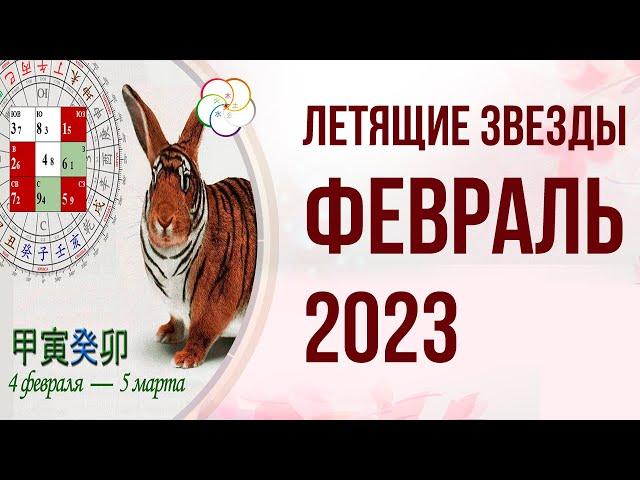 ФЭНШУЙ 2023: Прогноз по Летящим Звездам на ФЕВРАЛЬ 2023