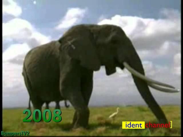 Animal Planet 1996 - 2008