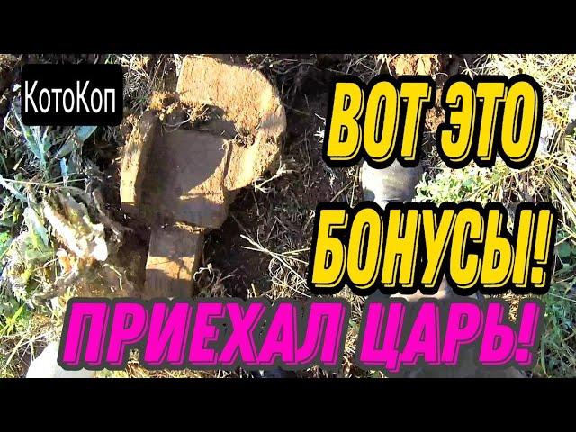 БОНУСЫ на копе. ВЫГОНЯЕТ, что ДЕЛАТЬ? Коп с xp ORX