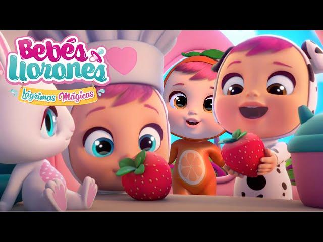 BEBÉS TUTTI FRUTTI  LÁGRIMAS MÁGICAS  | DIBUJOS ANIMADOS en ESPAÑOL | ¡Divertido y educativo!