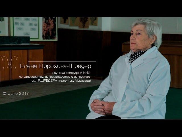 Личность: Елена Дорохова-Шредер. "Жизнь, посвященная процветанию"