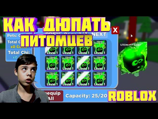 БАГ КАК ДЮПАТЬ ПИТОМЦЕВ В  СИМУЛЯТОРЕ ЛЕГЕНДЫ  НИНЗДЯ! ROBLOX NINJA LEGENDS! РАЗВАЛ СИМУЛЯТОРА