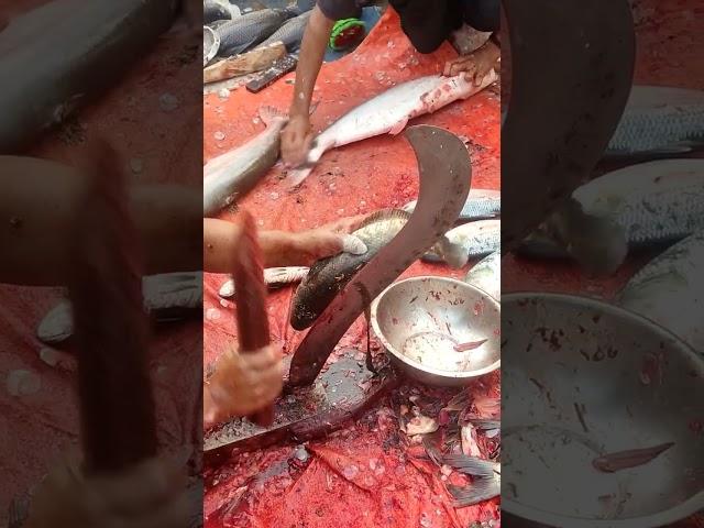 Amazing Sola Fish Cutting. #fishcutting #fishcutting_skills