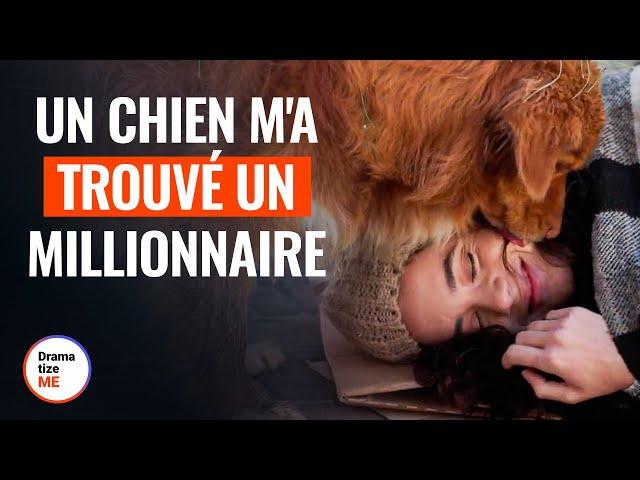 Un Chien M'A Trouvé Un Millionnaire | @DramatizeMeFrance