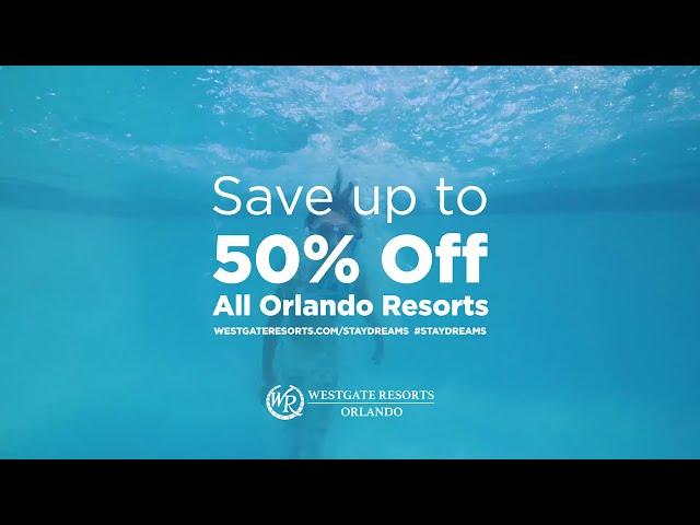 Black Friday Orlando Hotel Deals Turn Daydreams Into Staydreams With Westgate Resorts Orlando Hotels