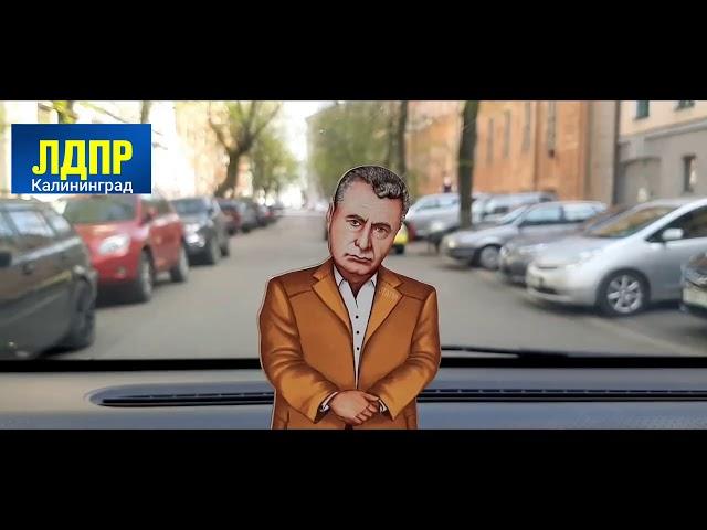 ЛДПР  - Калининград