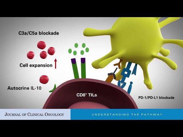 Interleukin-10: An Immune-Activating Cytokine in Cancer Immunotherapy