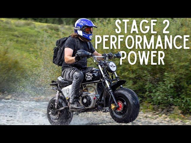 Why You Need a Stage 2 Performance Kit | Product Video