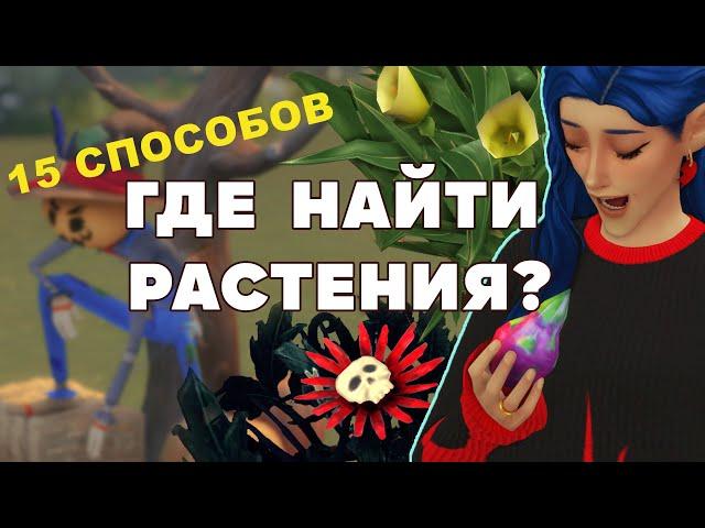 ЭФФЕКТИВНОЕ САДОВОДСТВО - СИМС 4 - ГДЕ НАЙТИ РАСТЕНИЯ ?