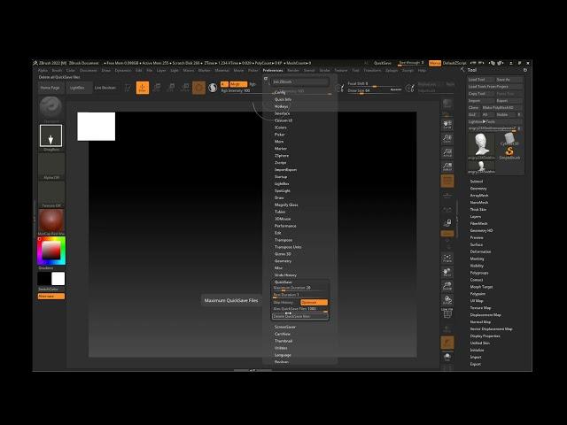 How to delete Quicksave in Zbrush