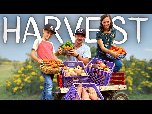 HARVESTING and PRESERVING Food for Winter Storage