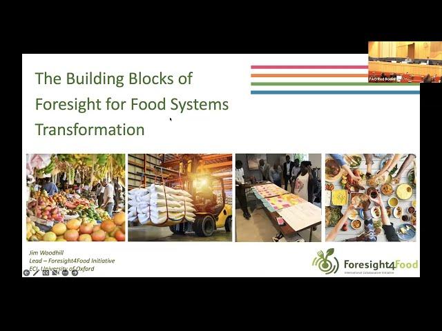 Foresight and Future Scenarios for Food Systems Transformation | CFS 50 Side Event 32