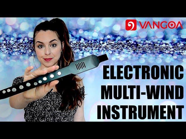 Vangoa - MIDI EWI - Electronic Wind Instrument | REVIEW, DEMO & HOW TO USE