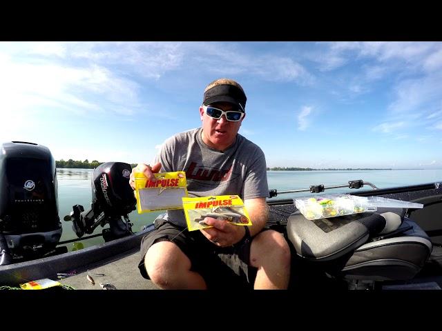 How To Find Walleye in the Fall - Walleye Fishing Techiques