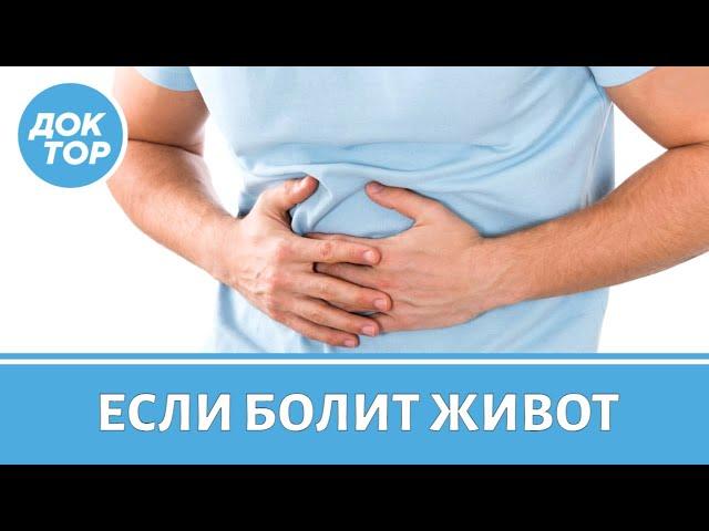 Болит живот. Что именно болит и что делать?