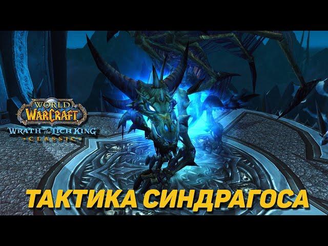 СИНДРАГОСА - ТАКТИКА ЦЛК 25ХМ WOTLK CLASSIC