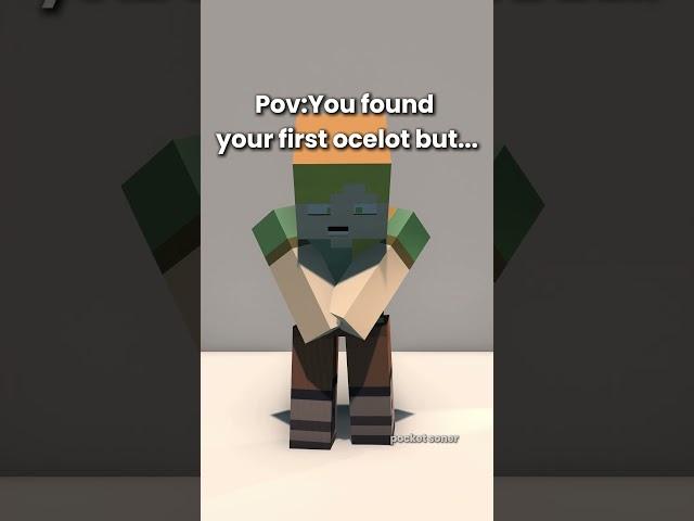 Minecraft Ocelot's Be Like #animation