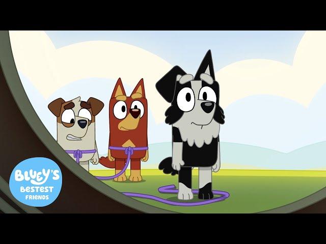 Mackenzie Lost in Space 🪐 | Space |  Bluey's Bestest Friends - Official Channel
