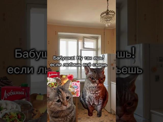 Пов: В гостях у бабушки #mem #cat #catmemes #мем #Жиза #котомемы #lovcat #рек #коты #Рекомендации 