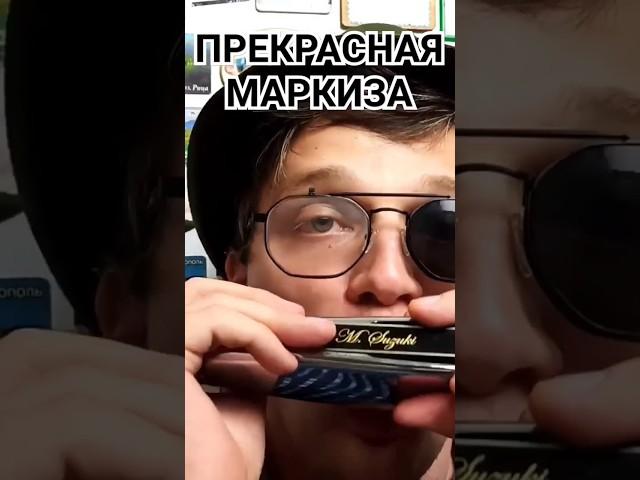 #губнаягармошка #прекраснаямаркиза #harmonica @Chernoslav