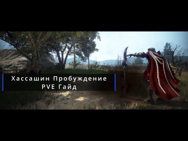 Black Desert | BDO | Хассашин Пробуждение PVE Гайд