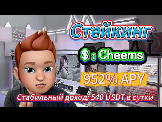 Лучший ход на бычьем рынке: Stake Cheems Token – 952% на криптофарминге