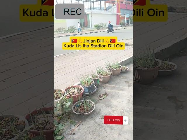 Jinjan Dili Kuda Lis Iha Stadion Munisipal Dili Nia Oin