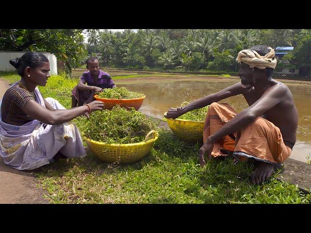 The Secret World of Herbs