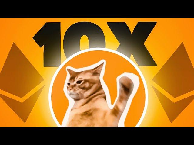 Kryptonews: Ist das der neue MOG, MEW, POPCAT? Neuer Ethereum Token Cat Slap!