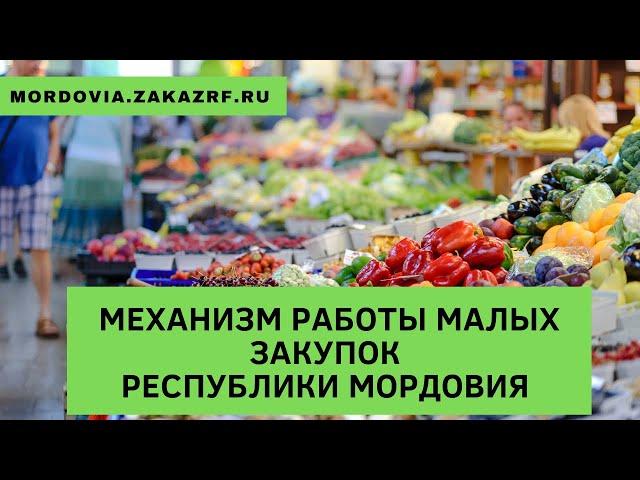 Механизм работы малых закупок Республики Мордовия